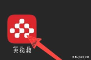 央视频在线直播观看（中央1频道直播在线观看）
