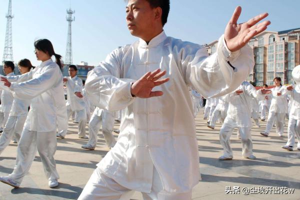 二十四式招式名称_二十四式招式名称及动作要领