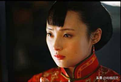 蒋勤勤主演过的电视剧_蒋勤勤主演过的电视剧红梅是哪部