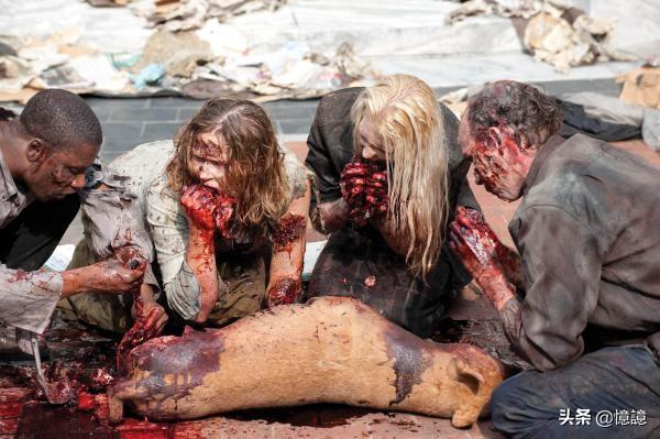 美剧行尸走肉_美剧行尸走肉第一季全集