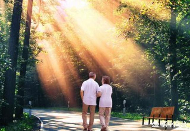 经典老人的大东西图片_中国老头logo视频