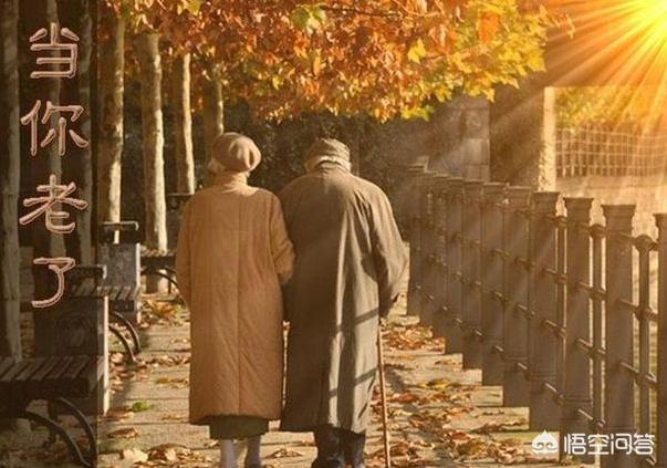 经典老人的大东西图片_中国老头logo视频