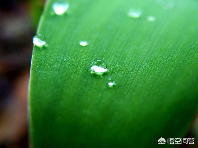 免费法律咨询热线12348_免费法律咨询热线12348几点有人工