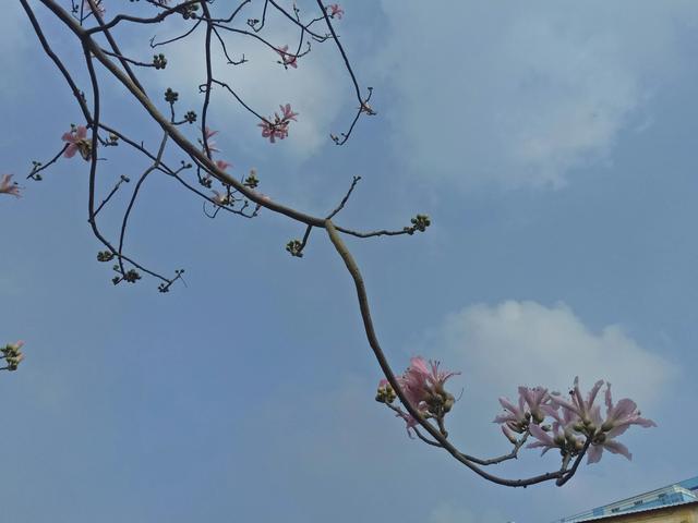 人的价值国语版全集（人的价值国语版全集免费观看）