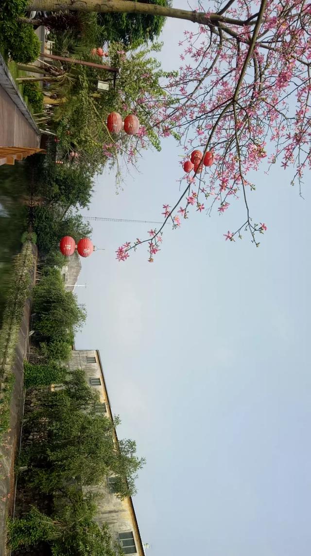 人的价值国语版全集（人的价值国语版全集免费观看）