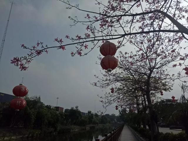 人的价值国语版全集（人的价值国语版全集免费观看）