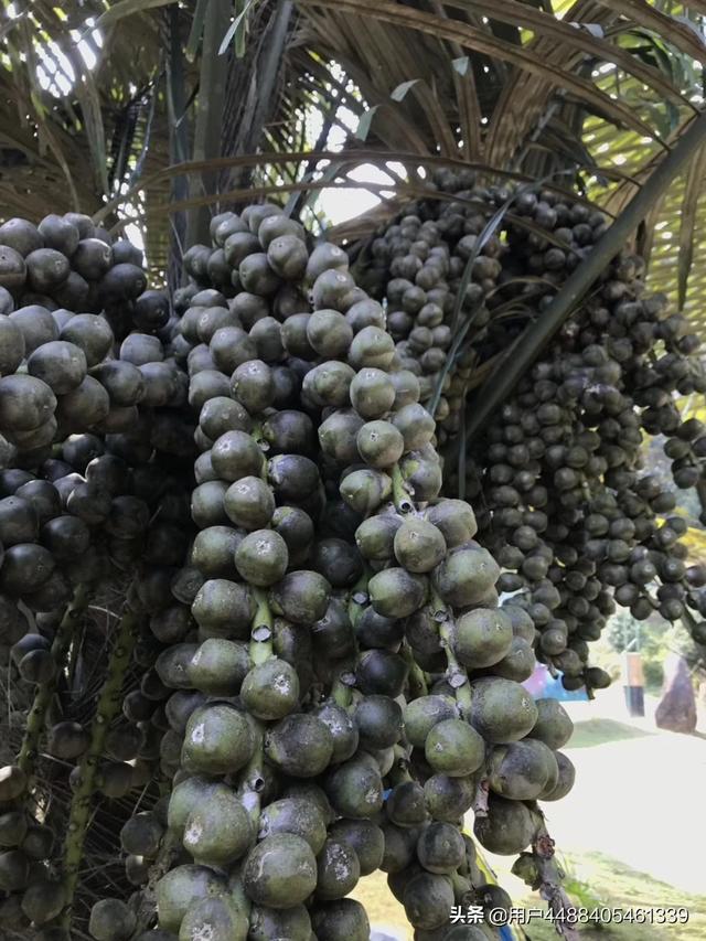 保持爱你（保持爱你粤语在线看免费）