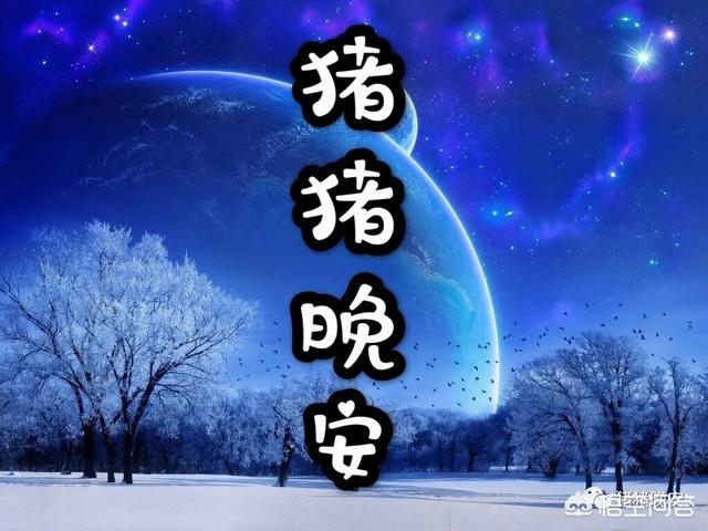 童话故事睡前故事哄女朋友（童话故事睡前故事哄女朋友公主和王子）