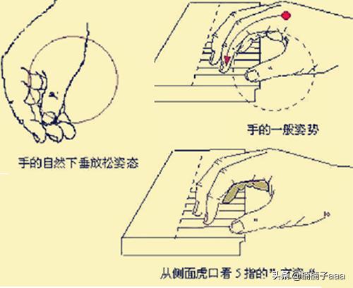 钢琴指法口诀（钢琴指法口诀1234567）