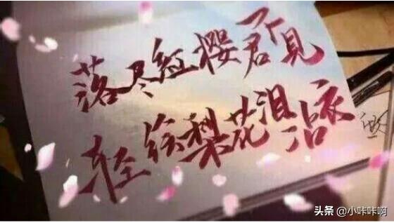 短剧落尽梨花月又西在线观看