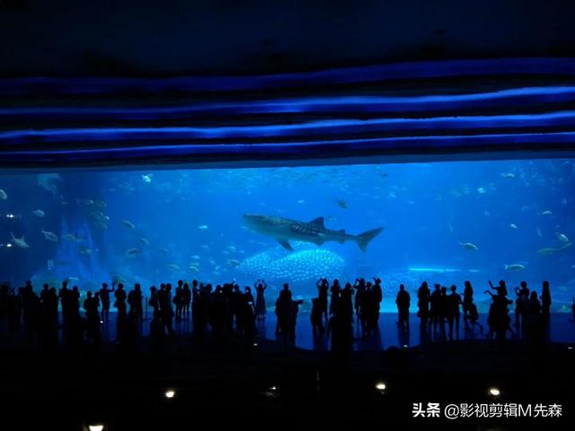 杜拉拉升职记剧情详细介绍（杜拉拉升职记大结局 小说）