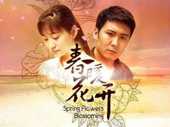 最新农村电视剧（农村连续剧电视剧大全免费观看）